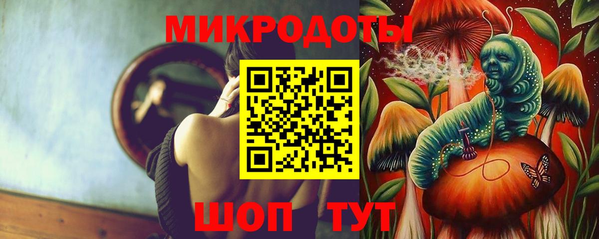Псилоцибиновые грибы Cubensis Ртищево
