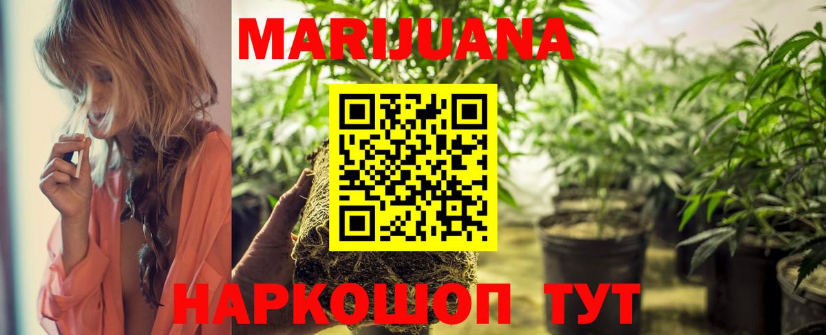 Марихуана Bruce Banner  Вход с VPN  Ртищево  Бошки марихуана планчик  Бошки марихуана LSD WEED  Конопля индика 